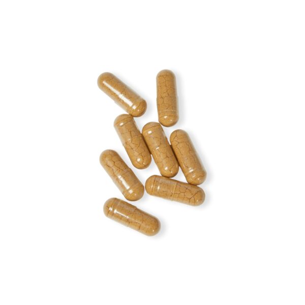 ImmunoMax - Mushroom Blend Supplements for Immune Health - Image 3